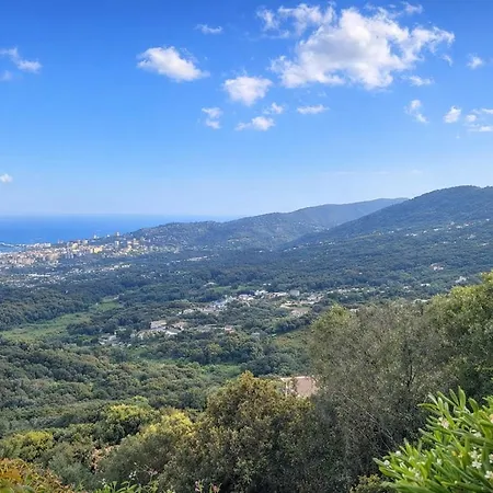 Grande Avec Magnifique Vue Et Vehicules